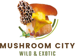 Mushroomcity